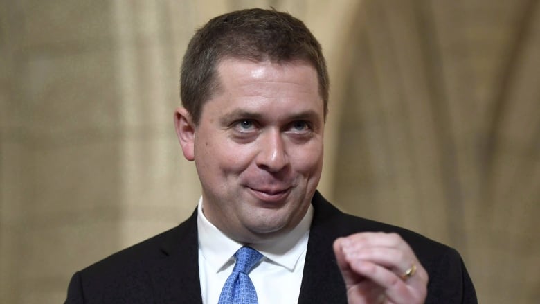 Image result for images of andrew scheer